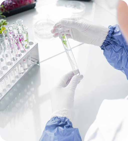 วิทยาศาสตร์ + ภูมิปัญญา