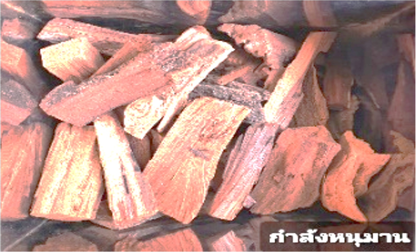 กำลังหนุมาน