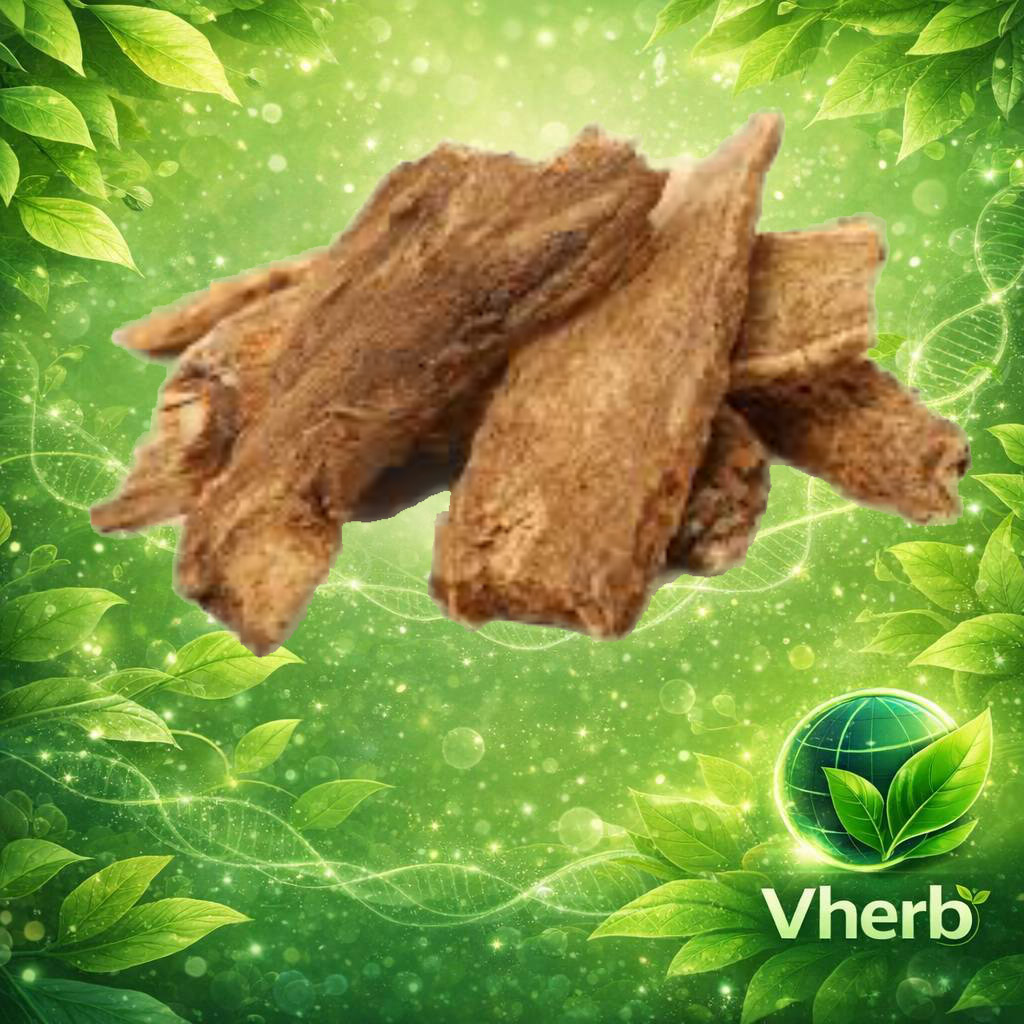 โกฐกระดูก