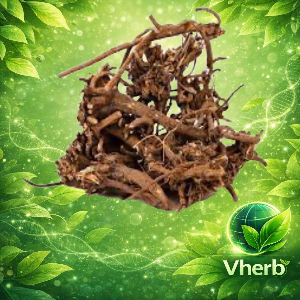 โกฐกักกรา