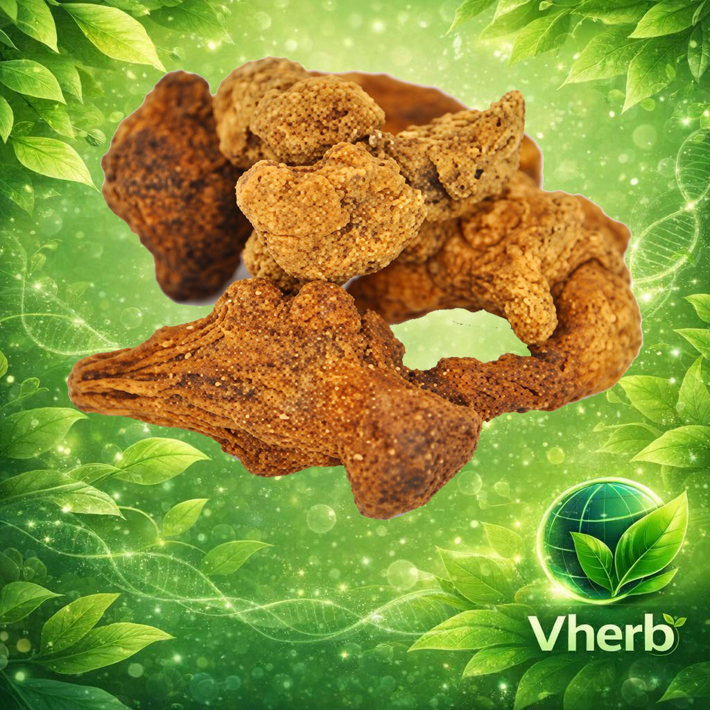 โกฐเขมา