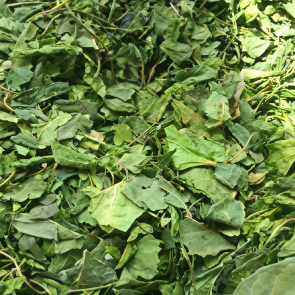 เชียงดา