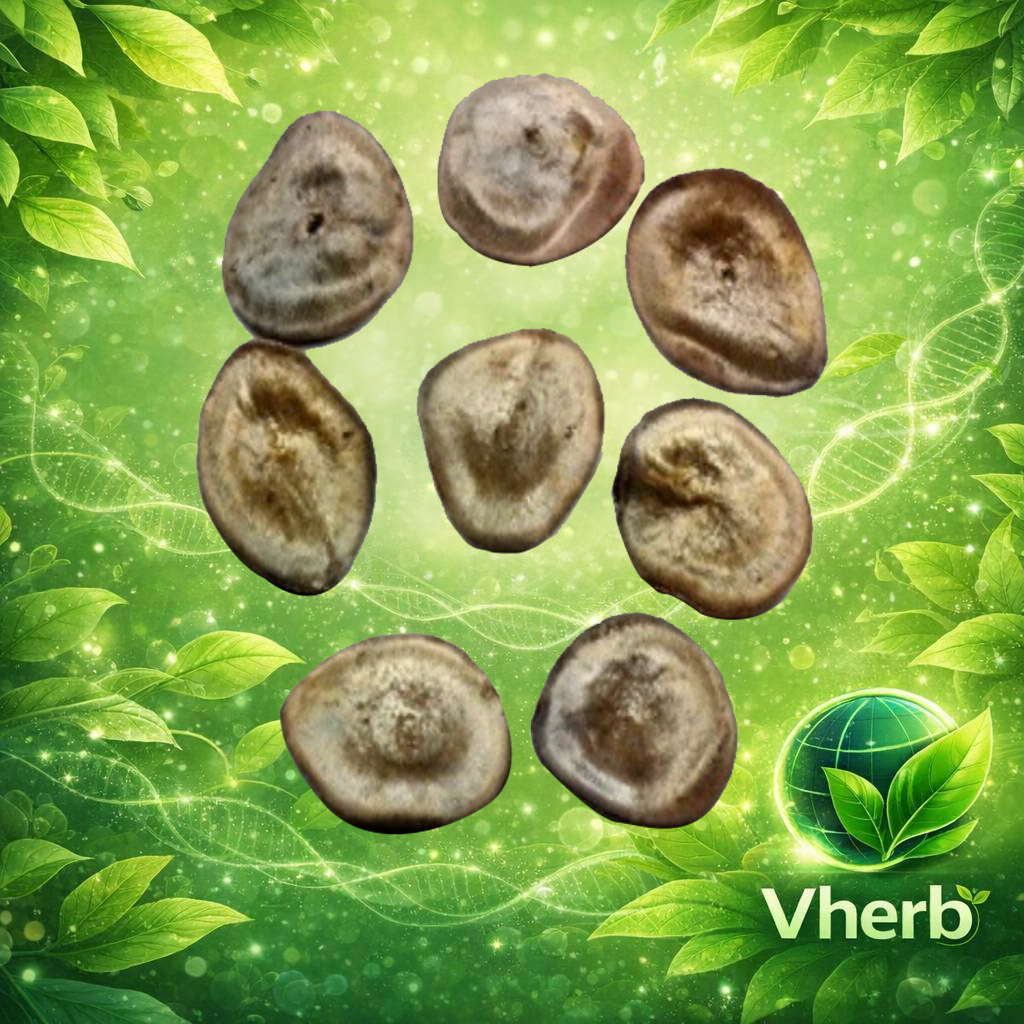 ตูมกาแดง