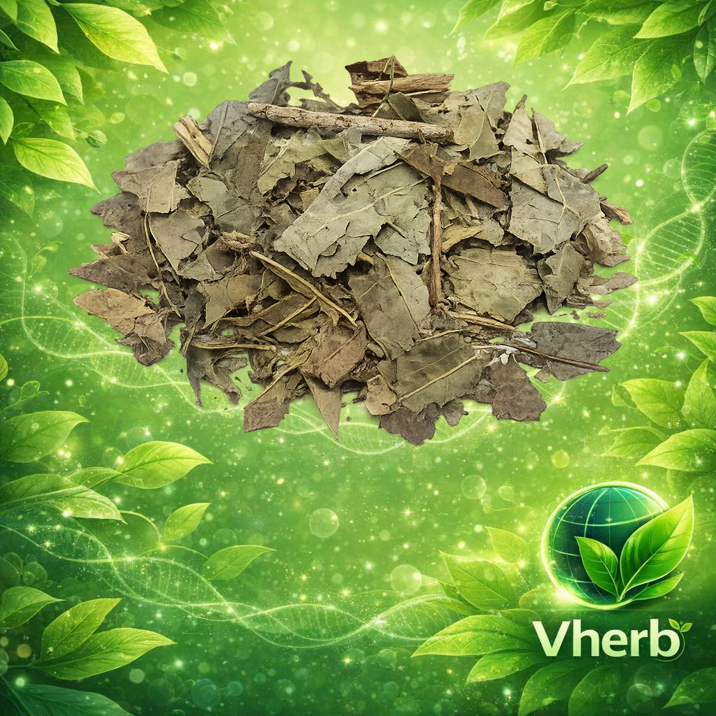 ใบมะคำไก่