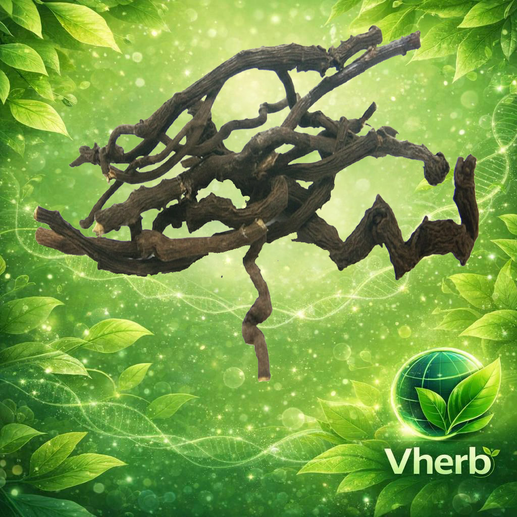 มะกล่ำเครือ (ราก)