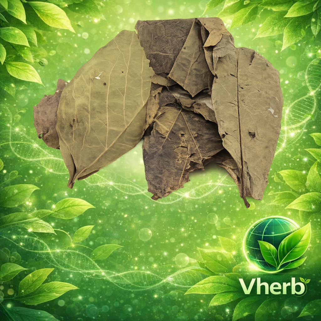 มะกา (ใบ)