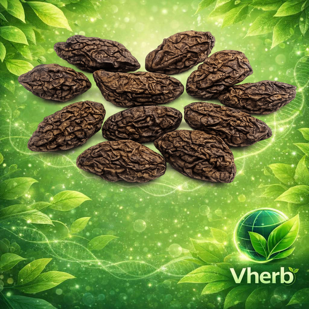 สมอไทย (ลูก)