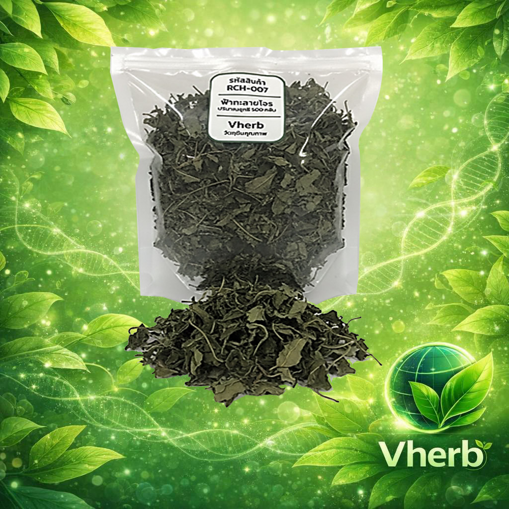 ฟ้าทะลายโจร