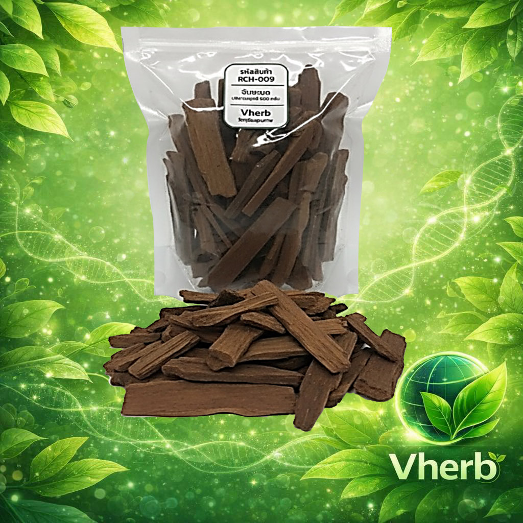 จันทน์ชะมด