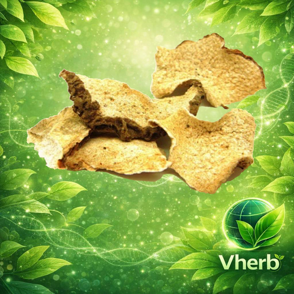 กระดาดขาว