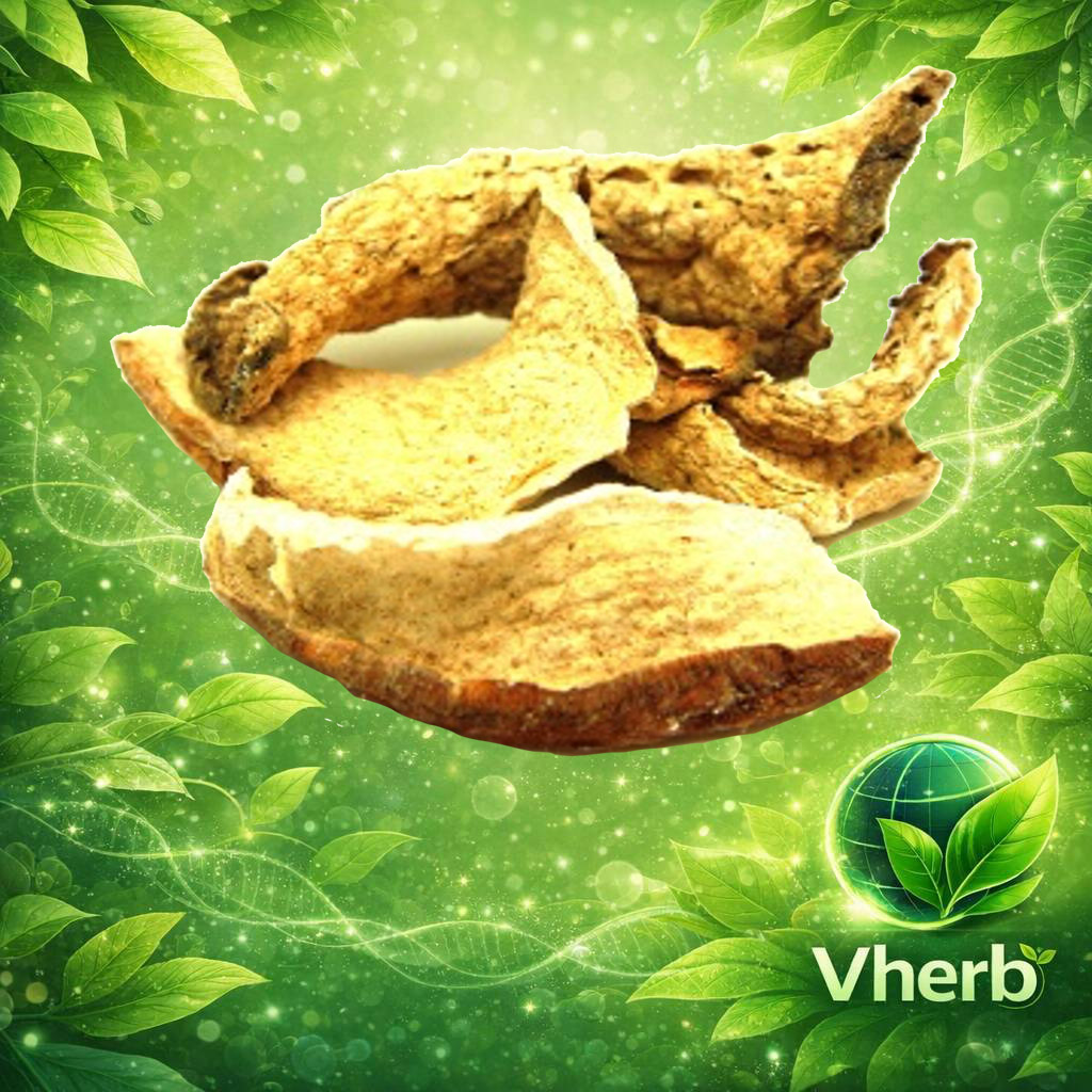 กระดาดแดง