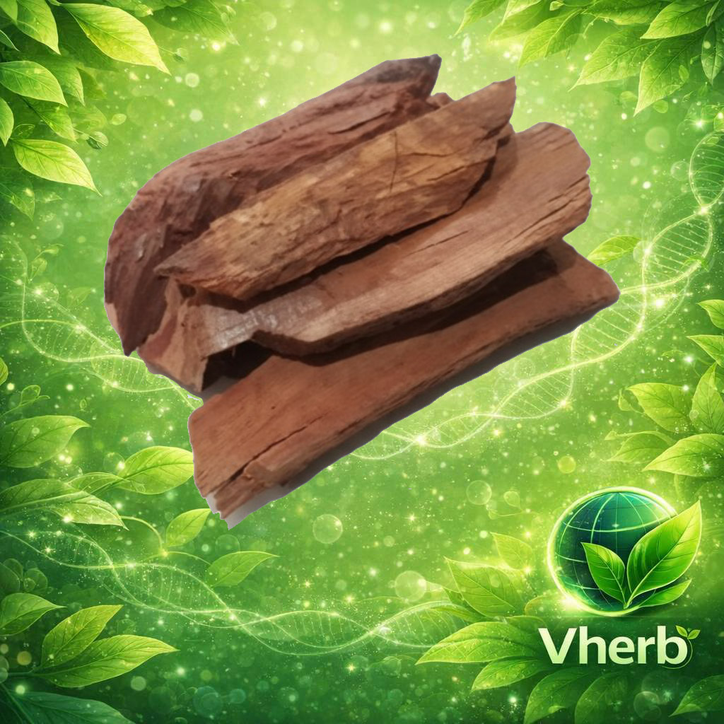 กำลังช้างสาร