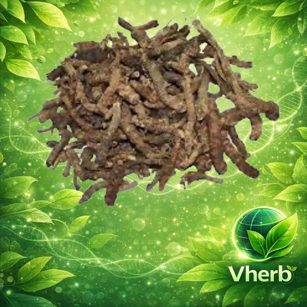 โกฐก้านพร้าว