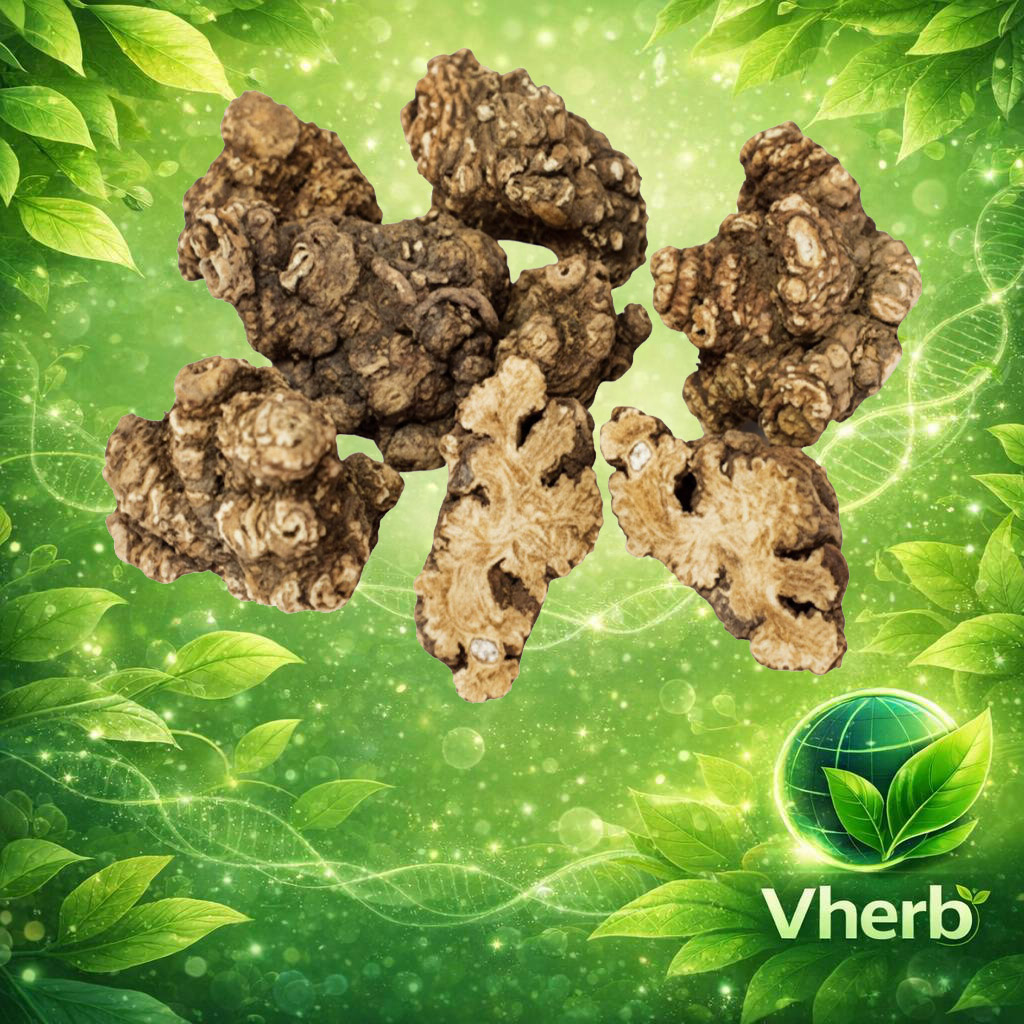 โกฐหัวบัว