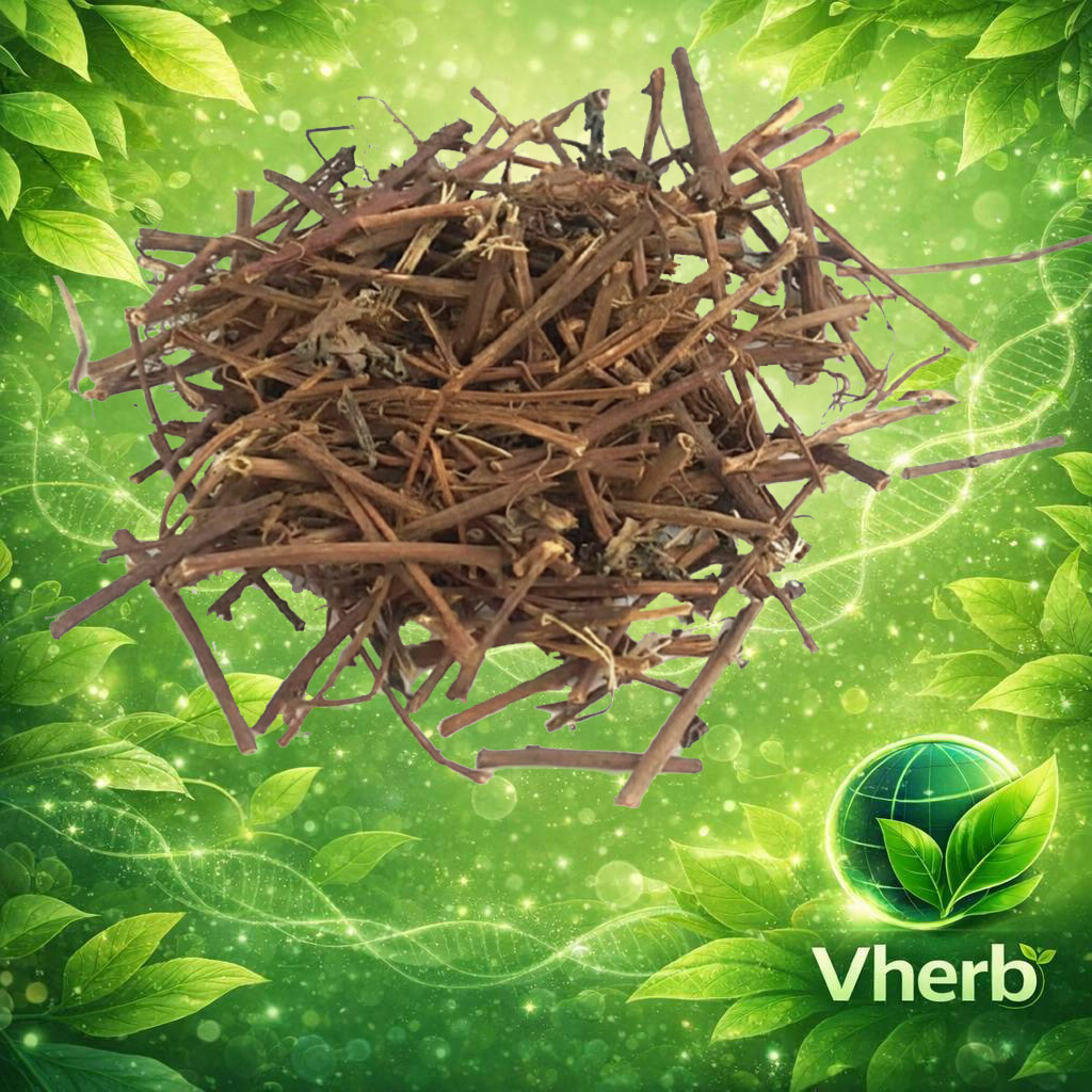 ขอบชะนางแดง