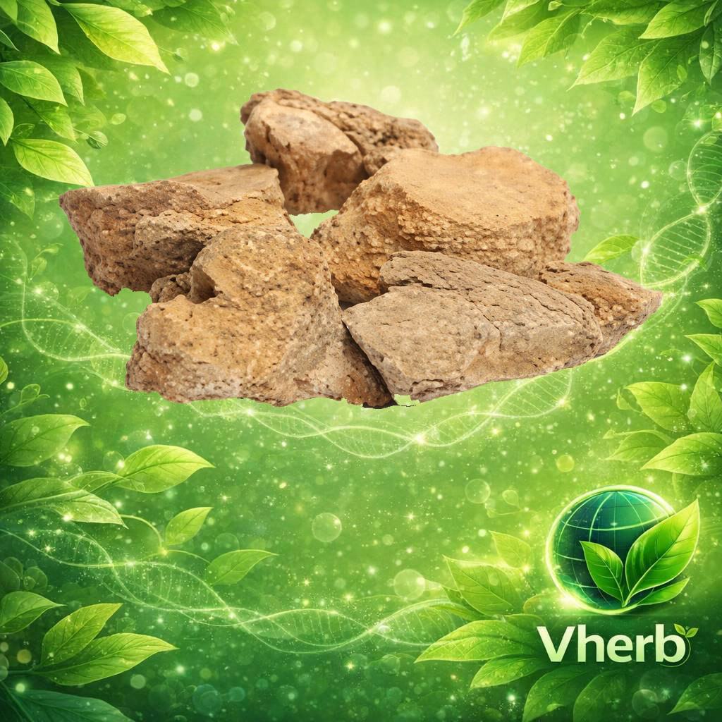 ข้าวเย็นใต้