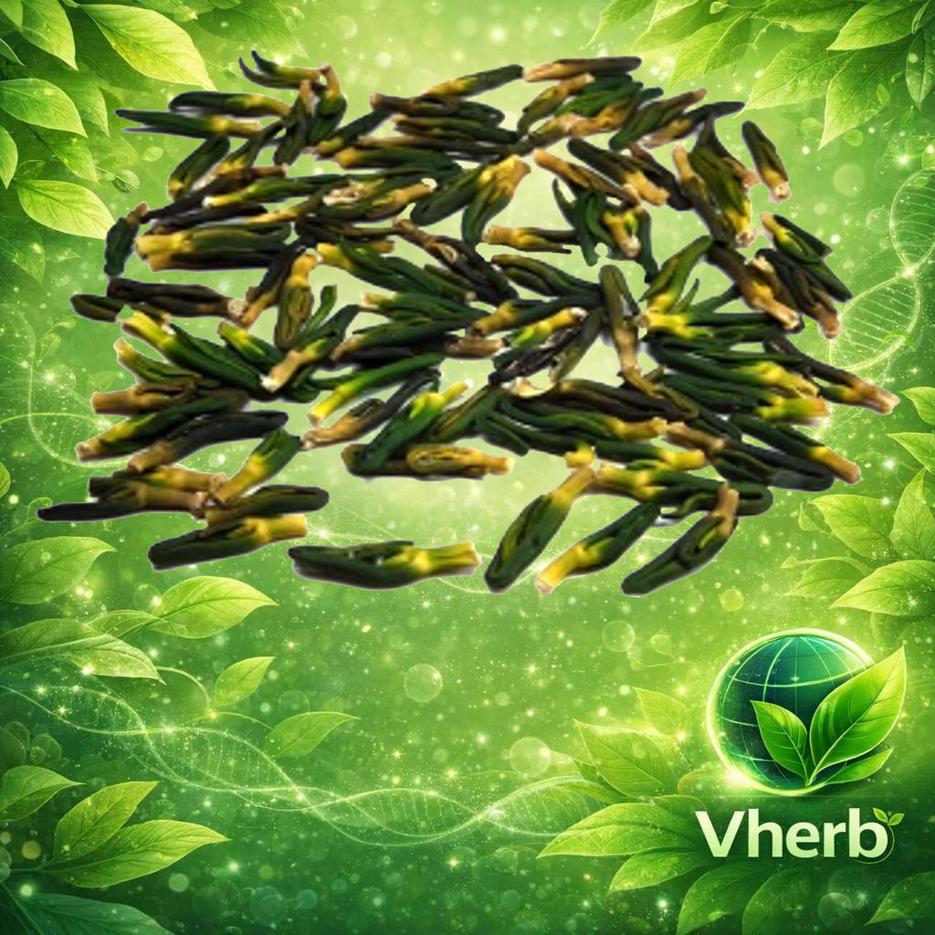 ดีบัวหลวง