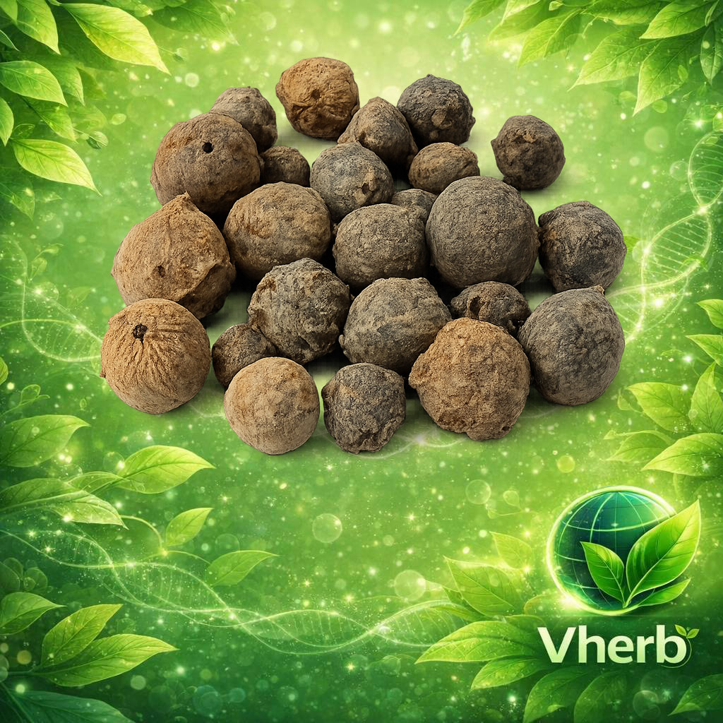 เบญกานี (ลูก)