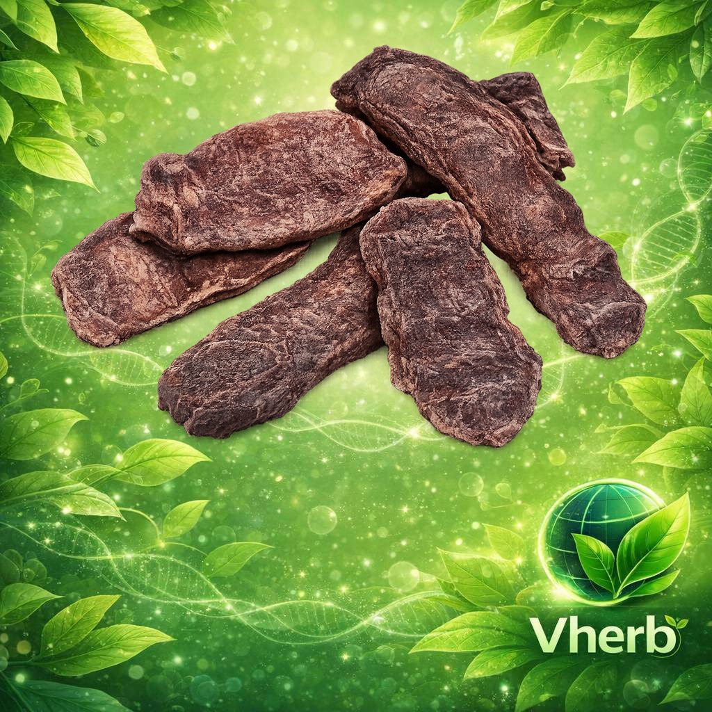 ฝักส้มป่อย