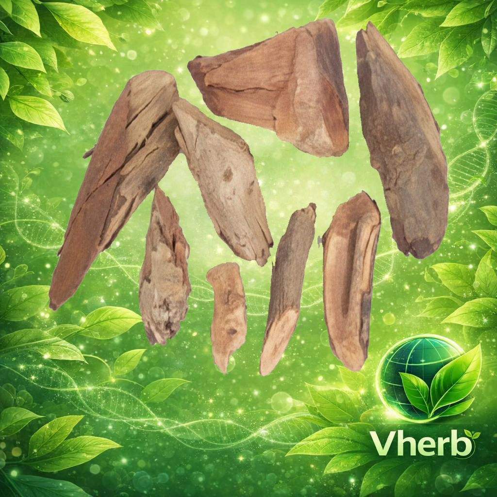 มะขามป้อม(ราก)