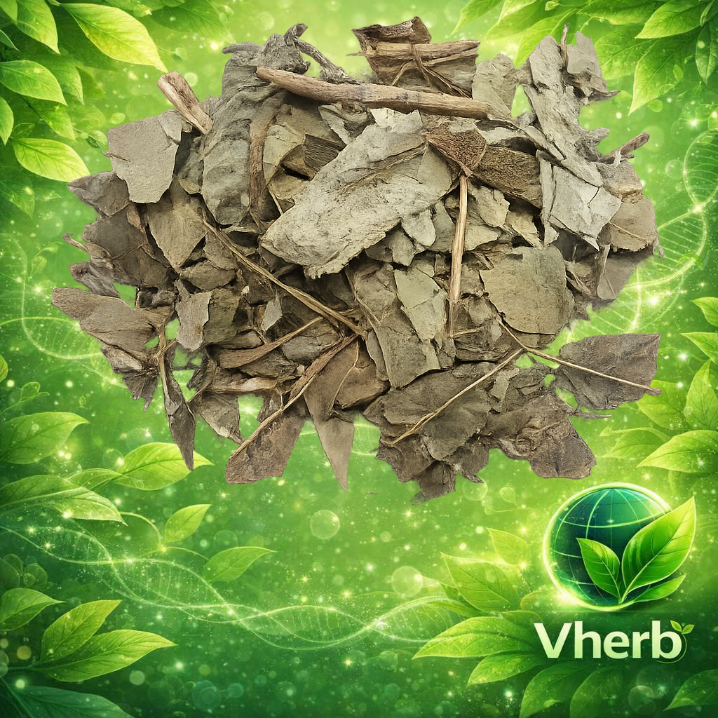 มะคำไก่ (ใบ)