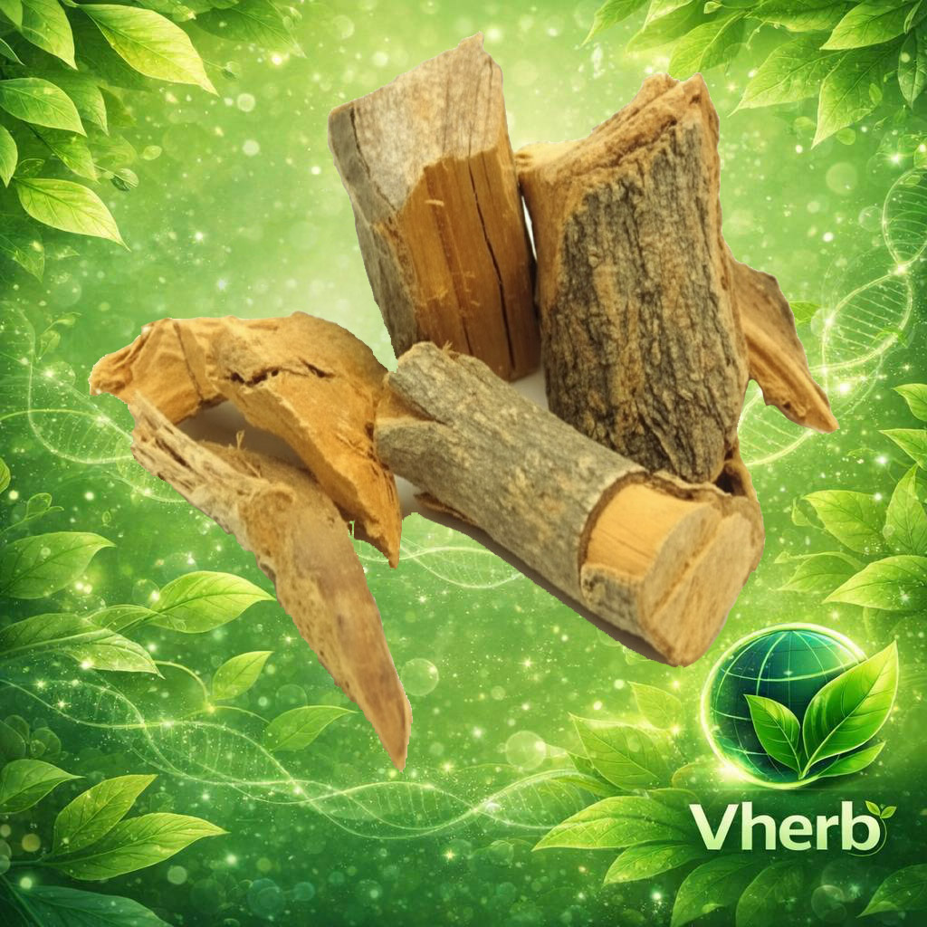 มะตูม (ราก)