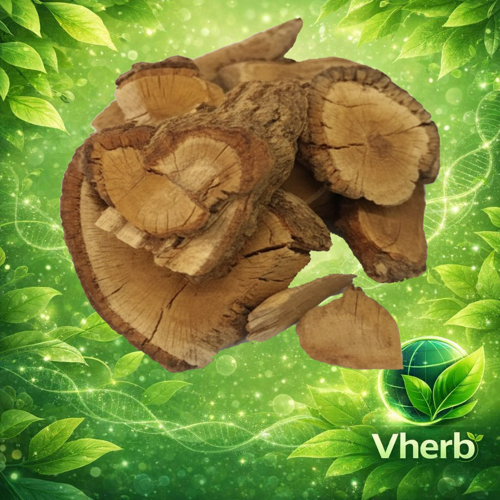 ส้มกุ้งใหญ่